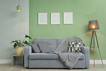 Stylish room interior with cozy sofa