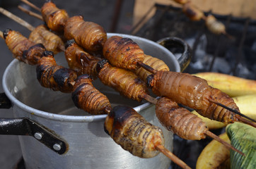 Suri - an Amazonian grub that feeds on palm sap, grilled and served as a snack food in Iquitos, Peru