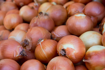 Golden Onions Background
