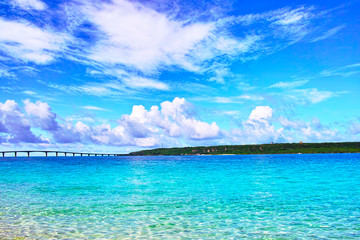 真夏の宮古島 与那覇前浜ビーチと流木 Wall Mural Wallpaper Murals 7maru