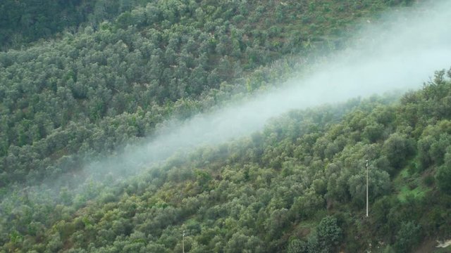 Early foggy morning in the Alps. Fog from the mountains falls into the valley. Perinaldo, Italy.