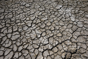 Climate warming dry chapped land