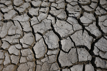 Climate warming dry chapped land