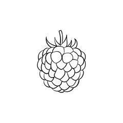 Blackberry hand drawn outline doodle icon