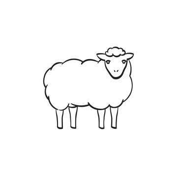 Sheep with wool hand drawn outline doodle icon. Vector sketch illustration of lamb for print, web, mobile and infographics isolated on white background.