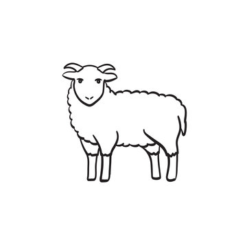 Goat hand drawn outline doodle icon. Ram vector sketch illustration for print, web, mobile and infographics isolated on white background.