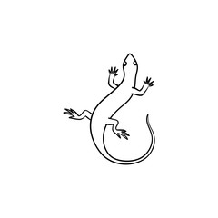 Salamander hand drawn outline doodle icon. Vector sketch illustration of salamander for print, web, mobile and infographics isolated on white background.