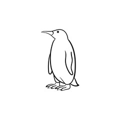 Penguin hand drawn outline doodle icon. Vector sketch illustration of penguin for print, web, mobile and infographics isolated on white background.