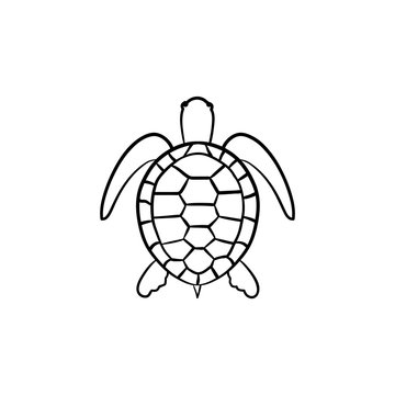 Turtle hand drawn outline doodle icon. Vector sketch illustration of turtle for print, web, mobile and infographics isolated on white background.