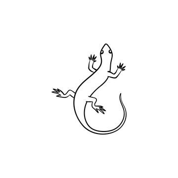 Salamander hand drawn outline doodle icon. Vector sketch illustration of salamander for print, web, mobile and infographics isolated on white background.