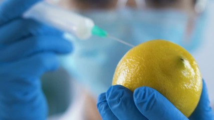 Biology researcher injecting lemon with artificially excreted vitamin C, gmo - Powered by Adobe