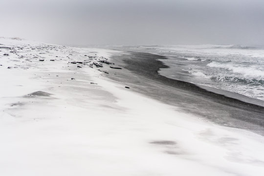 Fototapeta Blizzard on a beach of the Pacific ocean with black sand