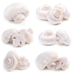 Mushrooms champignon