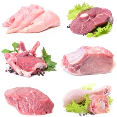 Washable wall murals Meat Fresh meat collection