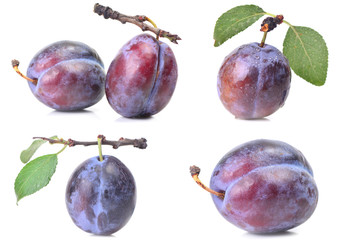 Plum fruit