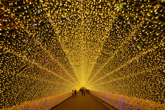Winter Illuminations in Japan