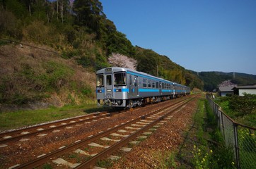 四国の普通列車