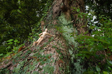 木登りをするデッサン人形