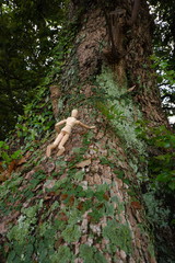 木登りをするデッサン人形