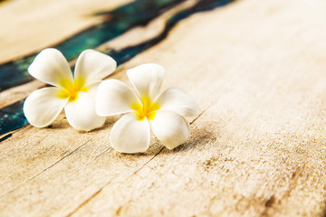 Two Flowers are on wooden texture background.