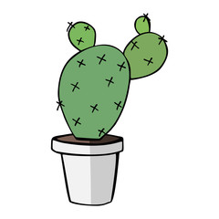 flat vector illustration of home green cactus in white plastic pot with shadow