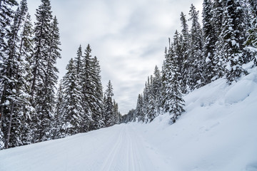 Rocky Mountain near Lake Louise