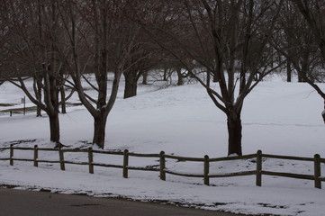 Fototapeta na wymiar Snow Tree Wooden Fence