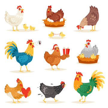 Chicken vector cartoon chick character hen and rooster in love with baby chickens or hen sitting on eggs in hen-coop illustration set of domestic birds in hen-house isolated on white background