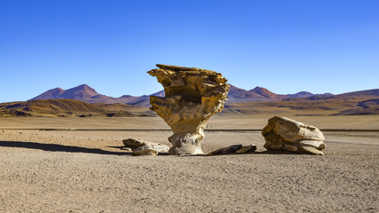 The Arbol de Piedra (stone tree), a rock formation in the Eduardo Avaroa Andean Fauna National Reserve in Southern Bolivia.