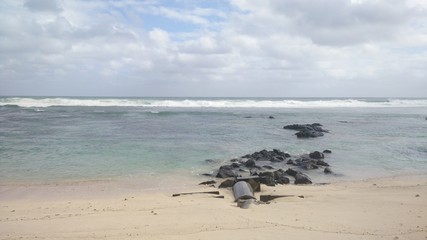 Fototapeta na wymiar sea with rocks