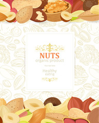 elegant poster with collection different of nuts for your design