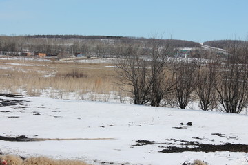 winter, snow, landscape, cold, lake, nature, sky, water, ice, frost, tree, river, forest, white, frozen, season, blue, panorama, field, grass, clouds, view, seasonal, morning, spring