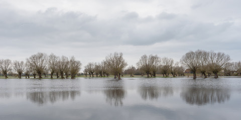 Hochwasser an der Havel in Brandenburg