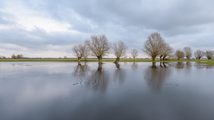 Hochwasser an der Havel in Brandenburg