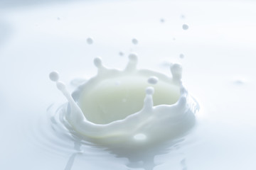 ミルククラウン