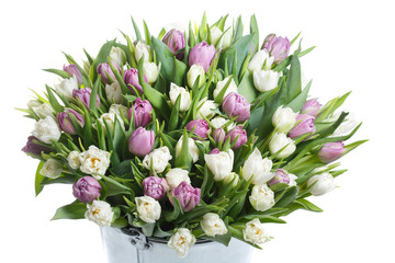 A huge bouquet of fresh tulips isolated on a white background.