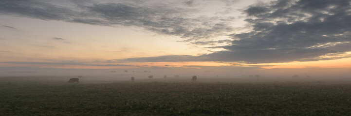 Sonnenaufgang im Naturpark Westhavelland in Brandenburg