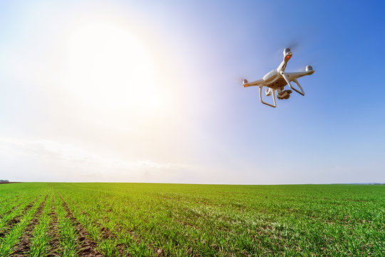 drone quad copter on green corn field