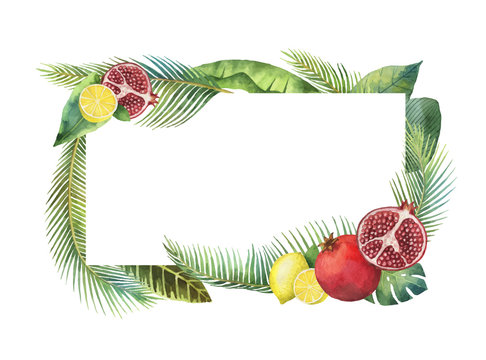 Watercolor vector banner tropical leaves and fruits isolated on white background.