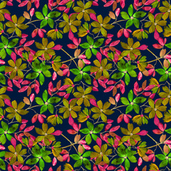 Seamless colorful floral pattern on dark blue background.