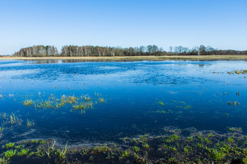 Flooded meadow with water