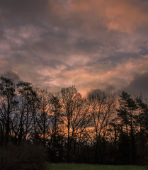 Fototapeta na wymiar Sunset with trees backlit. Armospheric phenomena concept
