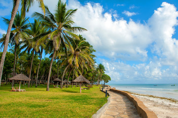 Fototapeta na wymiar Palm trees at the beach