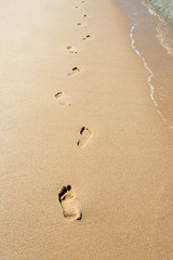 Footprints in the sand