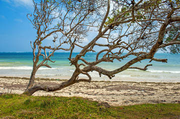 Beach and tropical ocean