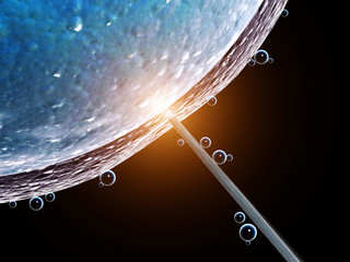 Artificial insemination. Needle puncture the cell membrane
