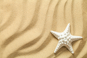 Fototapeta na wymiar Summer, Sand Background with Starfish