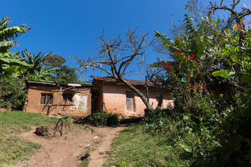 Fototapeta na wymiar Lehmhaus in den Usambara Bergen - Afrika