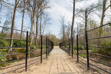 Path with metal bridge in dutch forest