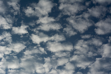 Cloudscape with altocumulus clouds at sunny day.